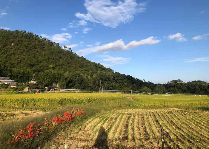 Tsubame-Ya