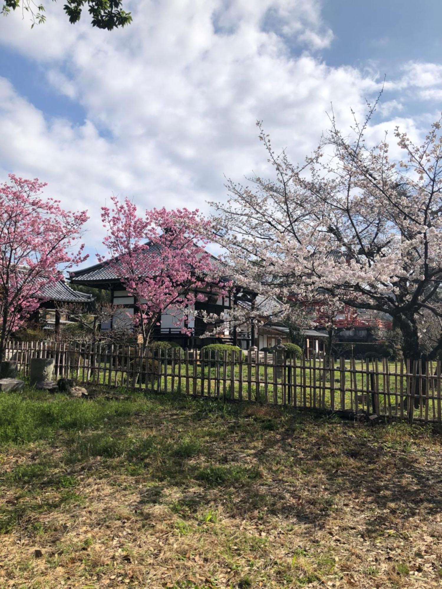 Affittacamere Tsubame-ya Kyōto